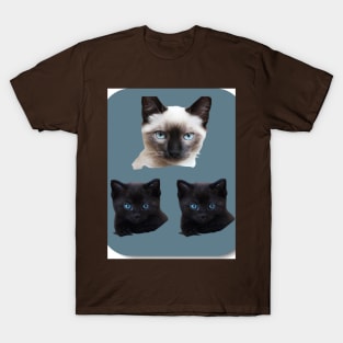 kittens T-Shirt